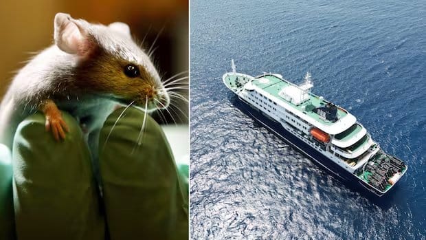 BREAKING: Israel has confirmed its first human case of hantavirus.